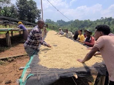 Screenshot_20251117_215750_Gallery