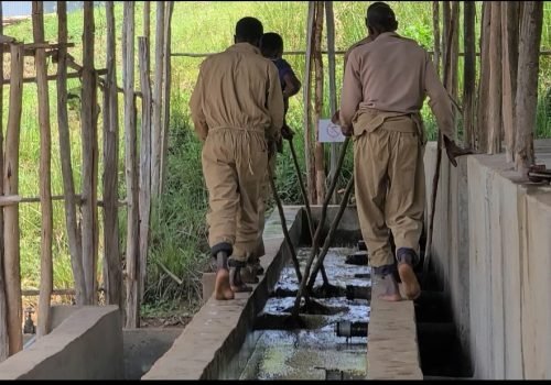 Screenshot_20251117_215935_Gallery